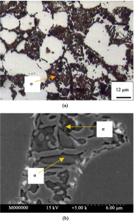 Figure 10. σ phase taken by Optical Microscope and Scanning Electron Microscope.              