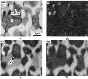 Figure 16. (a) Cr2N and σ articles and element distribution of (b) N; (c) Cr and (d) Mo