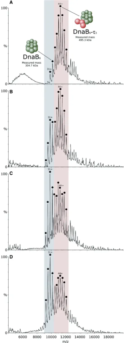 Figure 4. Continued