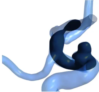 Figure 5. Viewing plane used to extract velocity con-tours. 