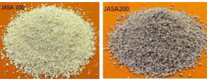 FIGURE 1. Birefringent powder samplers: JASA100 and JASA200  