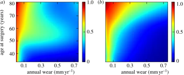 Figure 3. (a) Prediction of implant survival based on age at surgery and log implant wear rate (colour indicates posterior probability of implant survival at 11years); (b) joint density estimation indicates regions where data are most densely sampled