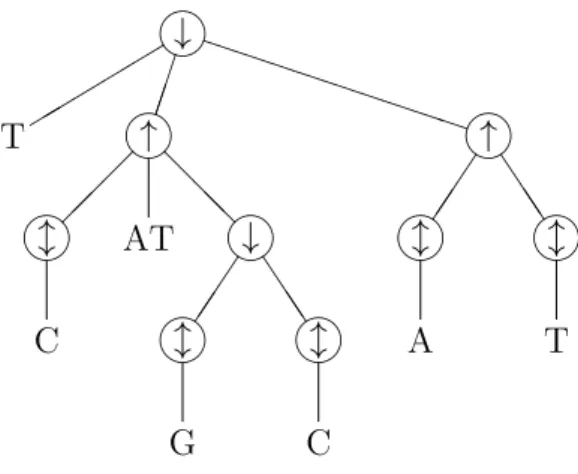Figure 2.4: The structure tree of the DNA expression from Example 2.12.