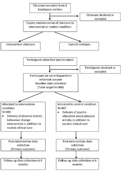 Figure 1 Flow chart of clinician and participant recruitment and study timeline.
