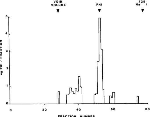 Figure  2.  Sephadex  G-50  chromatography  of  a  rat  brain  extract  eluted  with  1%  (v/v)  acetic  acid