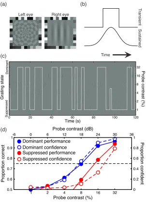 Figure  1:  (a)  Example  rivalry  stimuli  –  the  mask  (left)  and  the  grating  (right)  were  shown  to  opposite eyes for several minutes at a time. (b) Temporal waveforms for the two conditions used. (c) Example tracking data for two minutes of binocular rivalry for one observer. The white trace indicates the observer’s percept (left axis), and the locations of the grating icons indicate the time (x‐location)  and  contrast  (y‐location,  see  right‐hand  axis)  of  the  probe  presentations.  (d) Example  psychometric  functions  for  one  observer  in  the  sustained  condition.  Filled  symbols show performance data, scaled to the left axis. Open symbols show confidence data, scaled to the right  axis.  Blue  functions  correspond  to  probe  presentations  during  periods  of  reported dominance, and red functions for probes during suppression. Thresholds were estimated at the midpoint of each function (75% correct or 50% confident) indicated by the horizontal dashed line. 