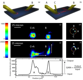 Fig. 3: (a) Scheme of the experimental configuration with two Address beams focused in separated points of the sample with different incident angles