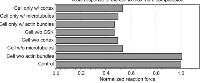 Fig. 3. Contribution of each component of the cytoskeleton during compression and effect of 
