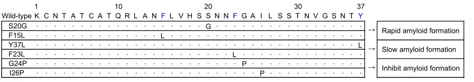 Figure 2 List of genetic mutations of IAPP determined from in silico studies, and naturally occurring (eg, S20G) mutations.Notes: Sequence alignment between mutants and wild-type IAPP revealed the effect of single-point mutations (S20G, F15L, Y37L, F23L, G