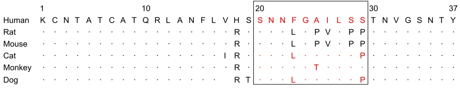 Figure 3 Alignment of IAPP amino acid sequences from different species.Notes: Amino acid sequences of the N-terminus and C-terminus are conserved, but region 20–29 is species specific