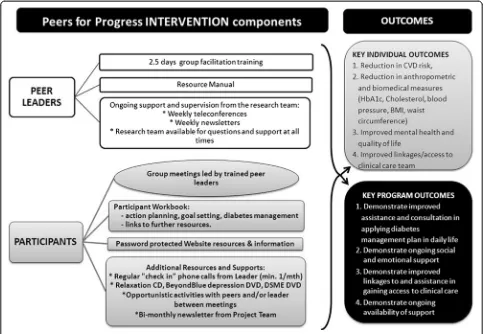 Figure 3 Australasian Peers for Progress Diabetes Project Intervention components and outcomes.