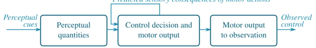 Figure 4.1: Main blocks forming the driver model adapted from the framework of Markkula, Boer, et al