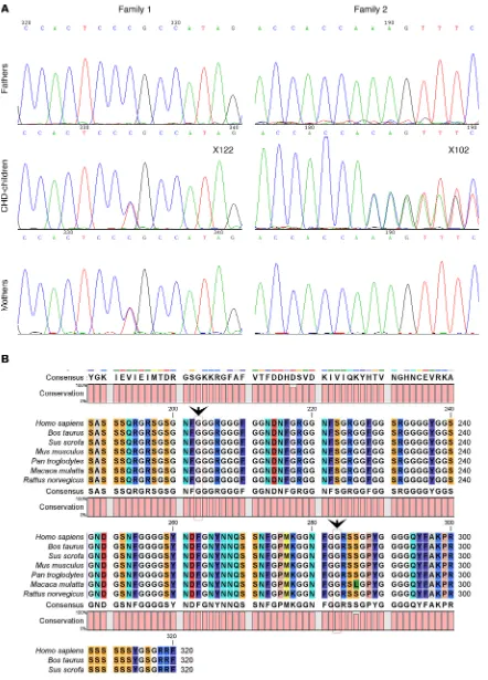 Figure 8. HNRNPA1 mutations in human congenital heart disease patients. (A) Mutations in 2 trio families