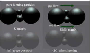 Fig. 10 Contacts of different size particles in this study 