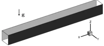 FIG. 2. Sketch of the horizontally extended domain. The boundary conditions on the square cross-section are no-slip, withno-ﬂux conditions for the temperature and concentration on theand z-walls, T = C = 0 at y = 0 (section represented in light gray) T = C