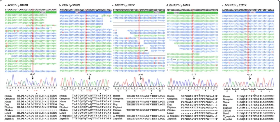 Figure 2 The identification of 5 non-synonymous variations showing co-segregation with hearing loss in affected families