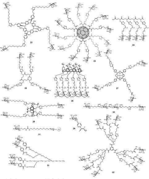 Fig. 9Multivalent glycoconjugates 22–33 as LecA high aﬃnity ligands.