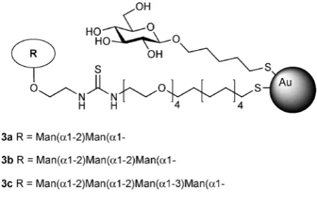 Fig. 3Bivalent glycoclusters 4 (acyclic) and 5 (macrocyclic), identified as sensors for diﬀerent galectin subtypes.
