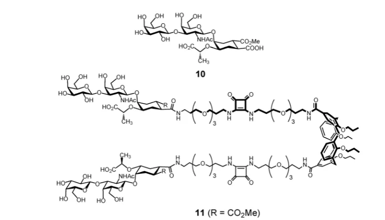 Fig. 4Structures of GM1os- (7a, 8a and 9a) and galactose (7b, 8b and 9b)-based inhibitors of cholera toxin binding.