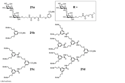 Table 2Multivalent compounds targeted against LecA. b values are calculated versus the monomeric compounds with linkers, unless otherwise stated