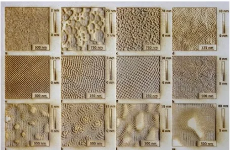 Figure 2:  A laser-engraved wooden relief of Fig. 2 in Frost et al. [3], showing the diversity of patterns on Si and Ge surfaces by low-energy ion-beam erosion