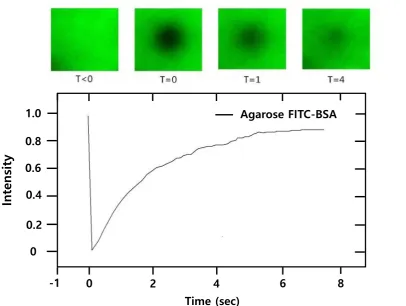 Fig. 3. FITC-BSA FRAP data for 2% agarose 