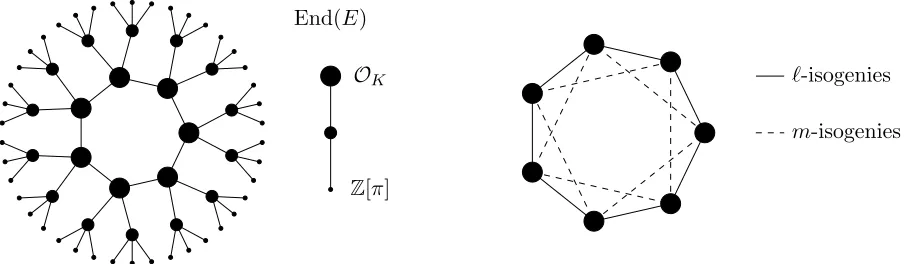 Figure 1: Examples of isogeny graphs. Left: a connected component of Gℓ(k), and the correspondingtower of imaginary quadratic orders [Feo17]; Right: the vertex set is EllO(C) for an imaginaryquadratic order O, the edges represent (isomorphic classes of) isogenies of degrees ℓ, m.