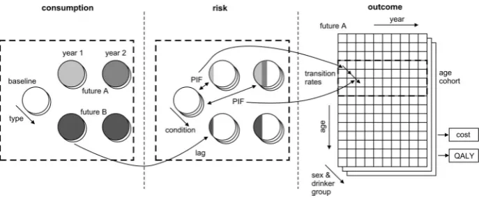 Fig. 3 Consumption-to-harm modelling schematic
