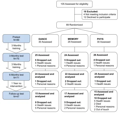 Figure 3 Trial design and participants’ flow.Notes: Participants were randomly assigned to one of two simultaneous cognitive–physical training groups (DAnCe and MeMOrY) or an exclusively physical multicomponent training group (PhYs) and were trained over 6