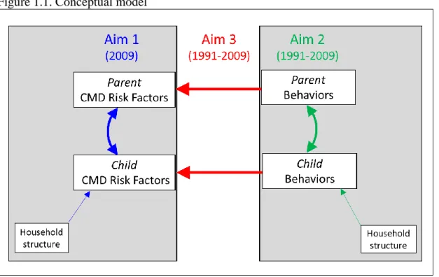 Figure 1.1. Conceptual model 