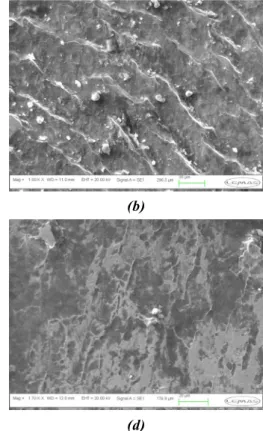 Figure 6 – SEM images of (a) plastically deformed surfaces in Gruen Zone 7 (b) surface morphology in Gruen zone