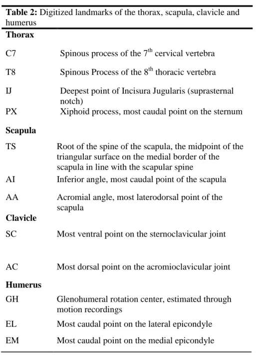 Table 2: Digitized landmarks of the thorax, scapula, clavicle and  humerus 