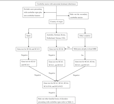 Figure 1 This flowchart explains diagnostic algorithm for ADCA Type III. After excluding the cases presenting with cerebellar signs plusnon-cerebellar features and secondary cerebellar ataxias, we suggest the appropriate genetic testing based on geographic