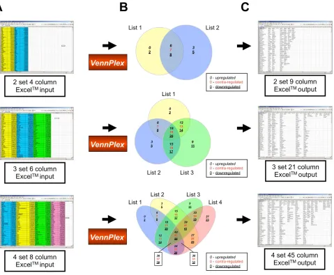 Figure 1. VennPlex data input and output scenarios. (A) Data input in Excelinto an Excelaccordingly