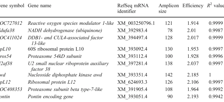 Table I. Candidate reference genes selected from the literature.