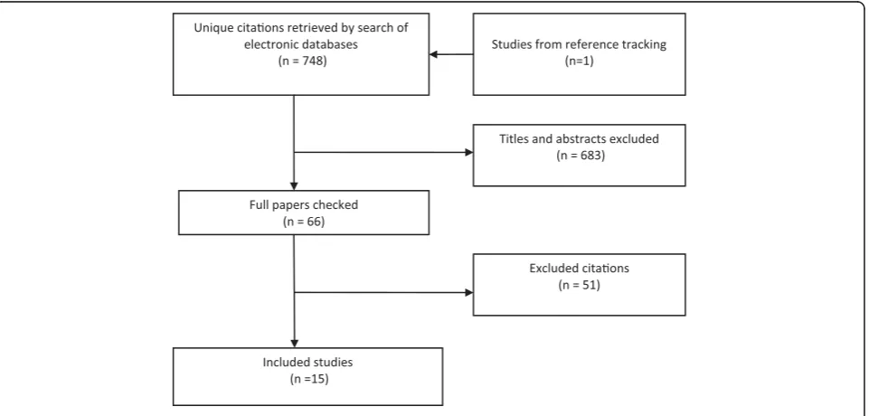 Figure 3 PRISMA flowchart of primary research studies search.