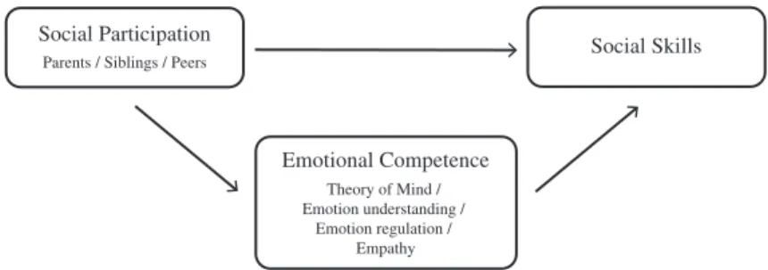 Figure 1.  Emotion socialization process.