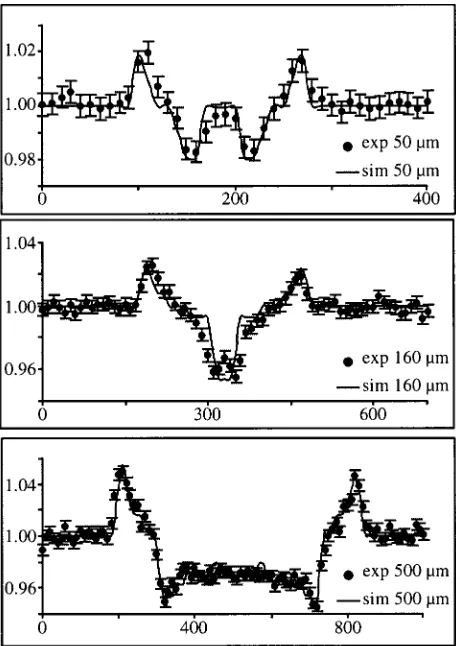 FIG. 2. Phase contrast images of nylon wires of different diameters obtainedby reducing the pixel size from 300 to 100 �m by means of a slit �see thetext�.