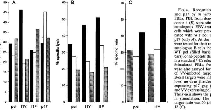 FIG. 4. Recognition of WT pol and p17 by in vitro stimulated PBLs. PBL from donor 32 (A) or