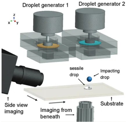 FIG. 1. (Color online) Schematic diagram of the two-droplet