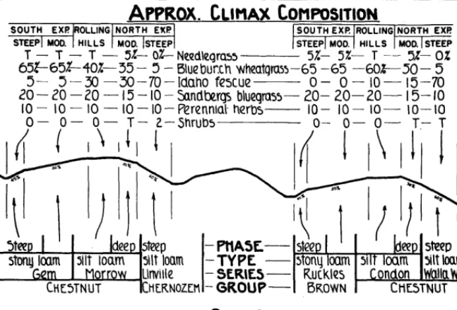 FIGURE 2. A section of the Condon-Morrow comparable soil area of the Columbia Basin profile