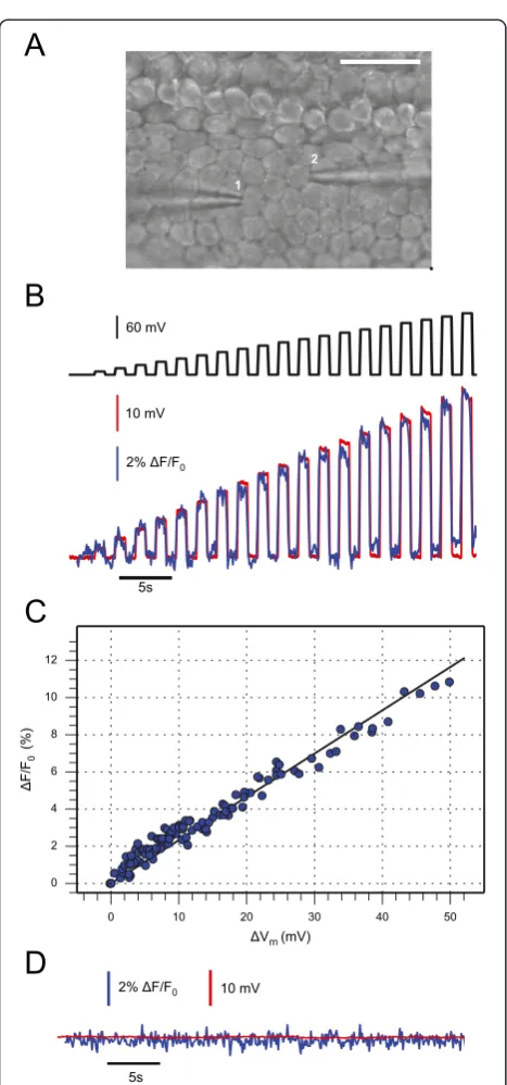 Figure 1, have excellent time resolution but provide ex-