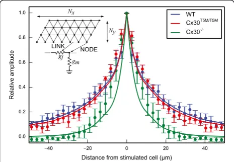 Figure 4 Data fit by a simple resistive network model thatreflects the anatomy. The inset shows model scheme