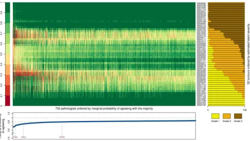 Figure 3. Summary of results of the Bayesian latent trait model. The main body of the plot is a heatmap showing the probability that raters(columns) agree with the consensus grade for each sample (rows)