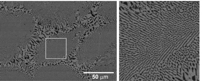 FIG. 1. Micrograph (left) showing the structure of anAg-Cu alloy undercooled to 40K prior to solidiﬁca-tion