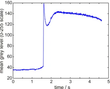 Fig. 6 (a) Spot brightness at two locations in the sample undercooled by ΔT = 19 K 