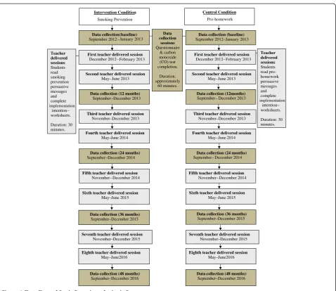 Figure 2 Randomization flow chart.