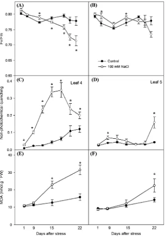 Fig. 1. Evolution of leaf senescence-related parameters. Maximum photochemical efﬁciency ((C, D), and oxidative damage [malondialdehyde (MDA) accumulation] (E, F) in leaves 4 (A, C, E) and 5 (B, D, F) of tomato plants grown for3 weeks on half-strength Hoag
