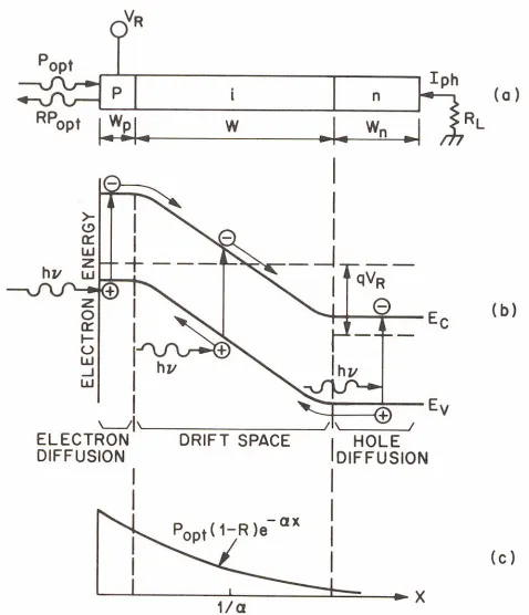 Figure 2.13 Homojunction p-i-n diode : (a) cross-sectional view ; (b) energy-band diagram under 