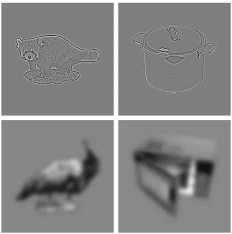 Figure 1.  pass (HSF) and low-pass (LSF) filtered images of living andExample stimuli after filtering